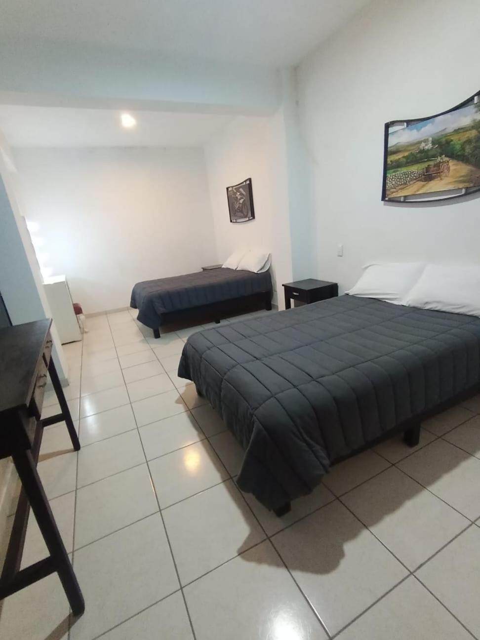 Hotel Boutique Arbol De La Vida 태스코 데 알라르콘 외부 사진
